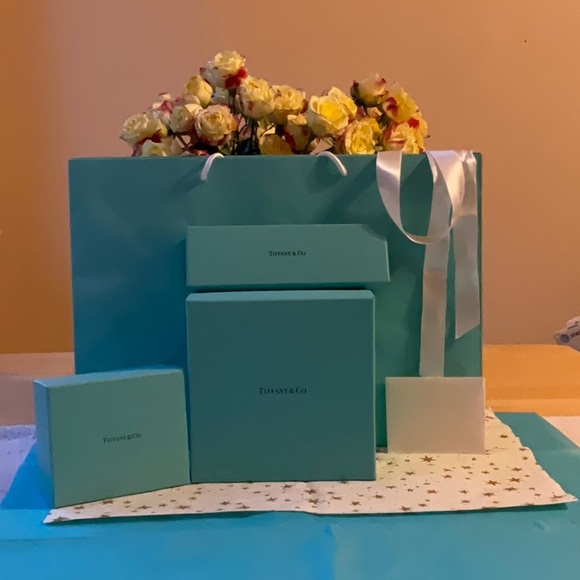 🎀 TIFFANY & CO. BAG & BOXES 🎀 - Picture 7 of 16